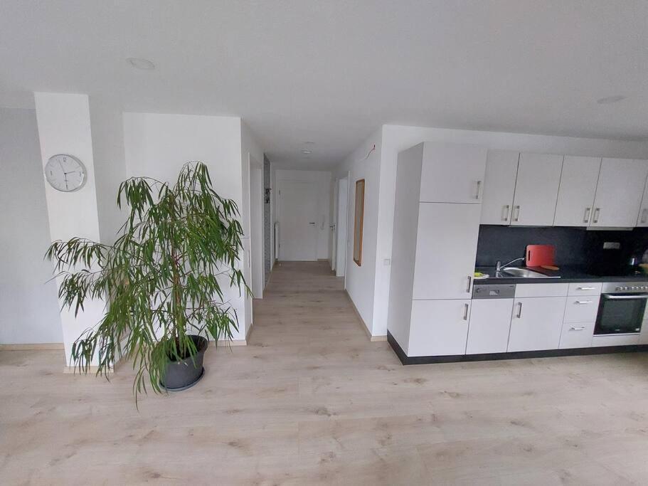 Ferienwohnung Koenigsquelle باد ويلدنغن المظهر الخارجي الصورة